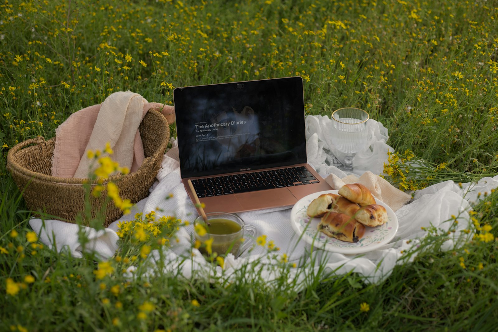 Trabajo remoto con notebook en zona rural